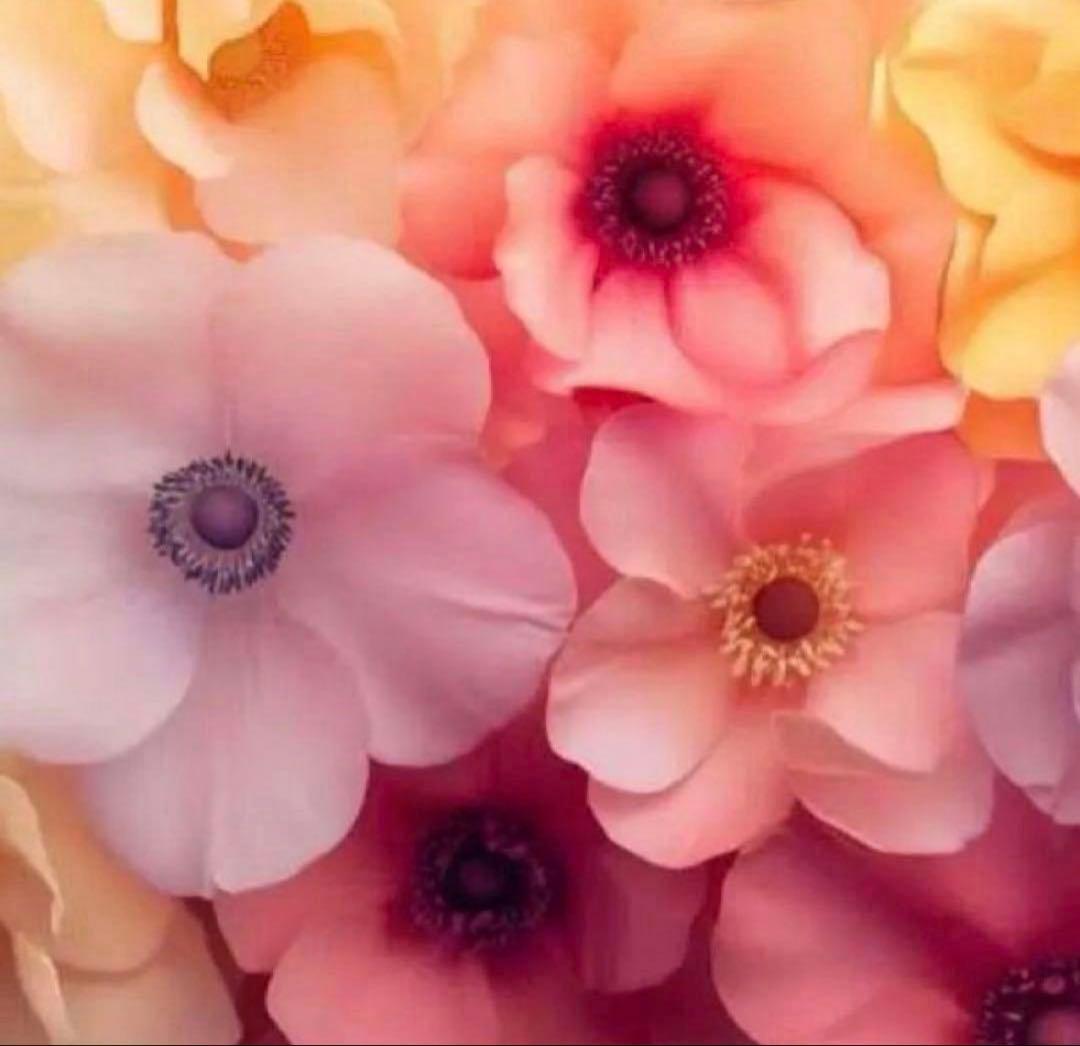 まなちゃん専用