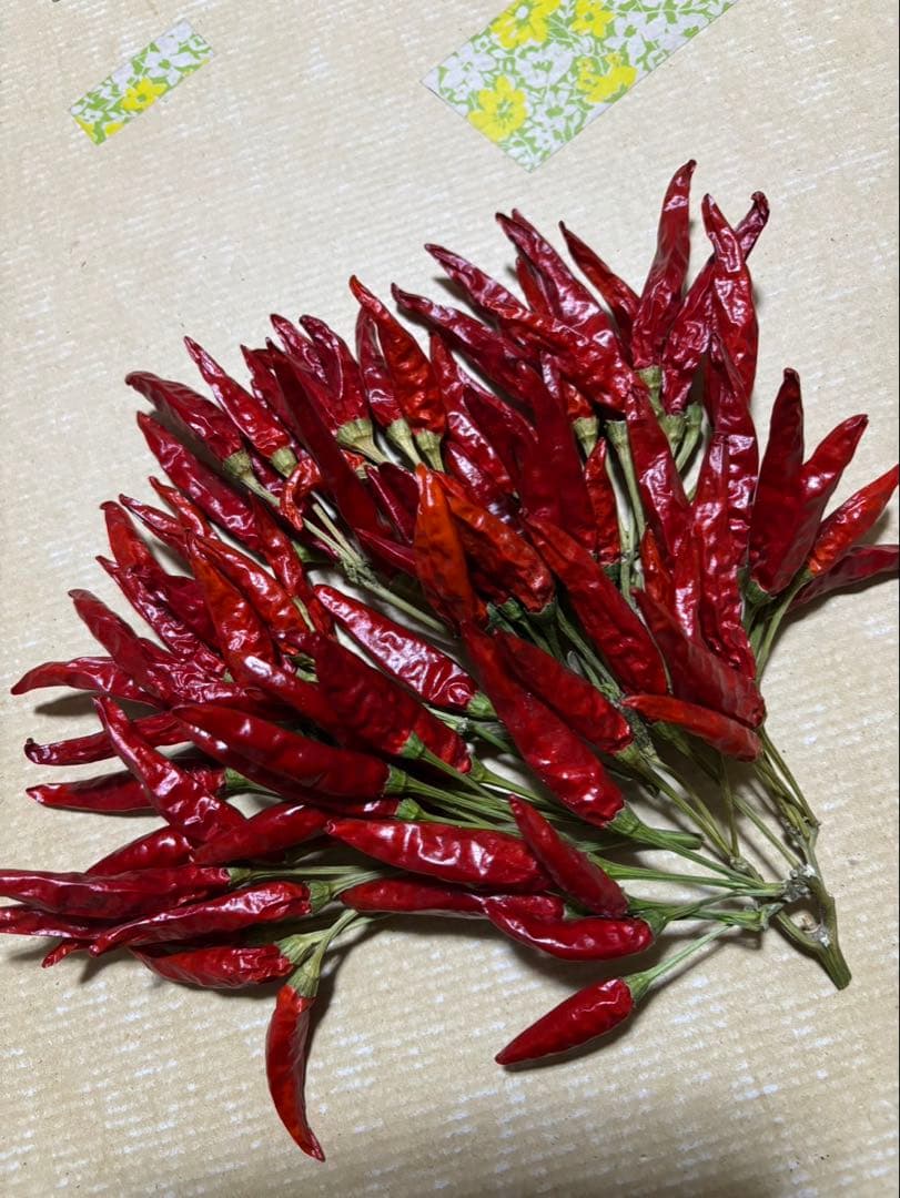 ドライフラワー トウガラシ タカノツメ