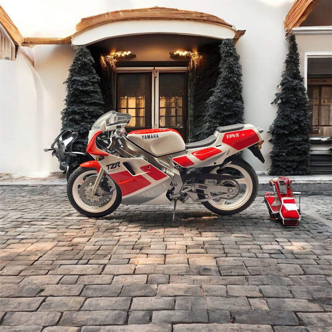 Yamaha TZR250 3MA 1/12 完成品 Hasegawa製