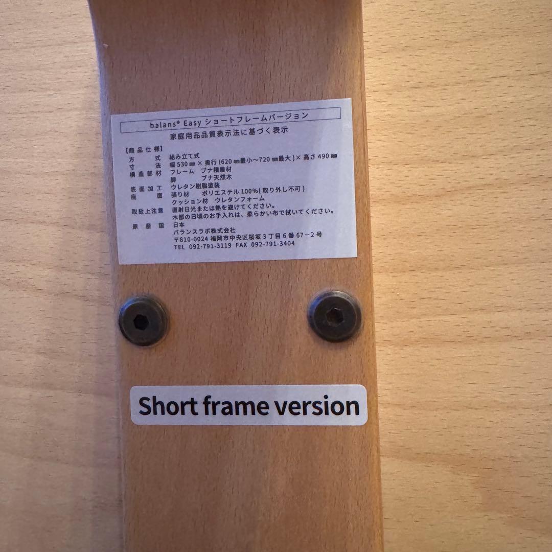 Balans Easy バランスイージー　ショートフレームバージョン