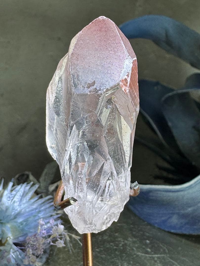 ルージュフォルム　レムリアン　ピンクレムリアンルーツ　ツートンカラー　ロック調