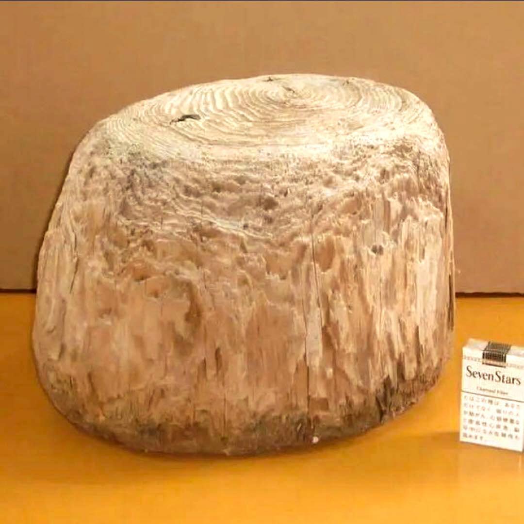 流木に感動‼️瀬戸内海 漂流 丸太 樹齢約50年 玉切り 切り株 盆栽の台 腰掛け