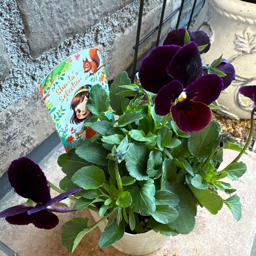 金*魚様 パルプンテ