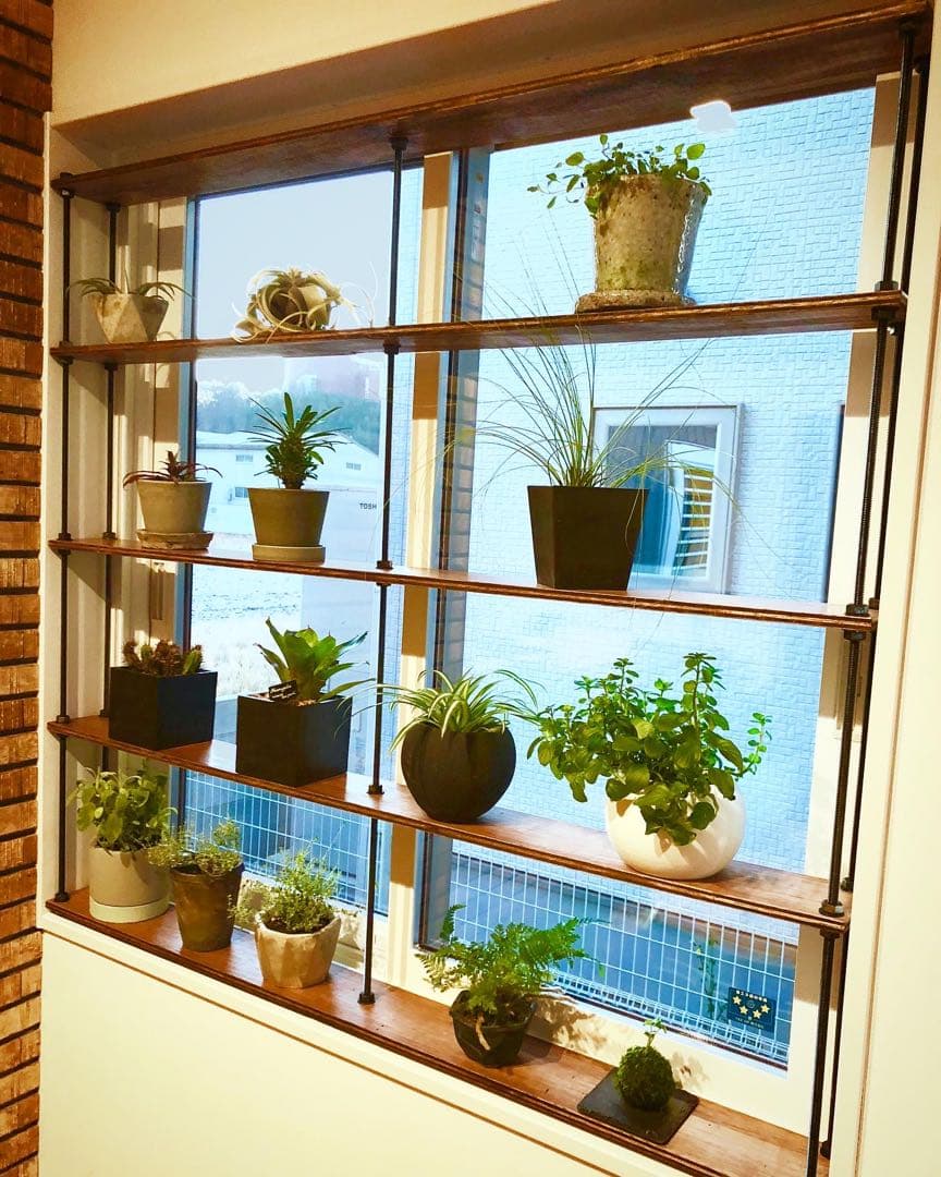 TVで紹介！窓枠における収納棚！tasty ウッドラック 壁面収納ラック