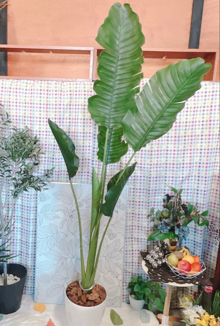 人工観葉植物 フェイクグリーン