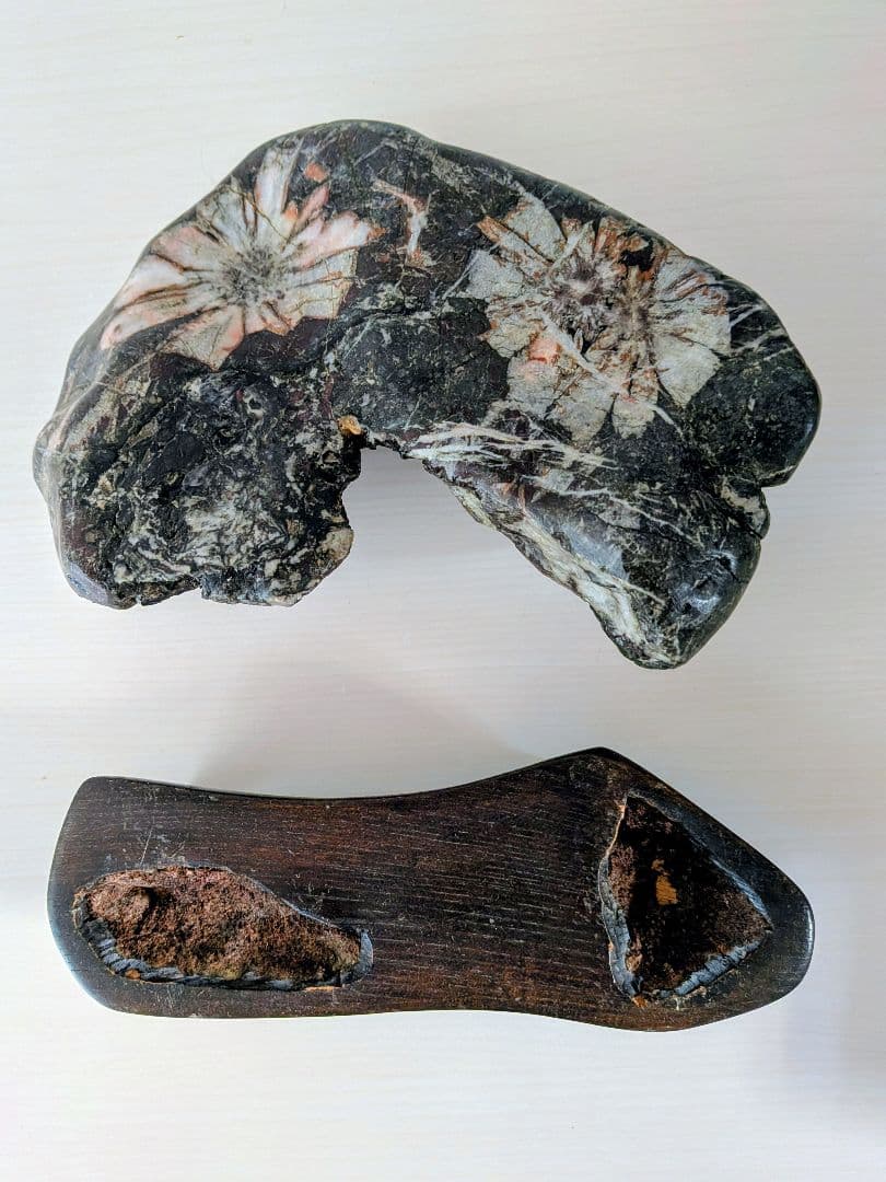 岐阜県を代表する銘石 菊花石・台座付き｜幅19cm×高さ12cm