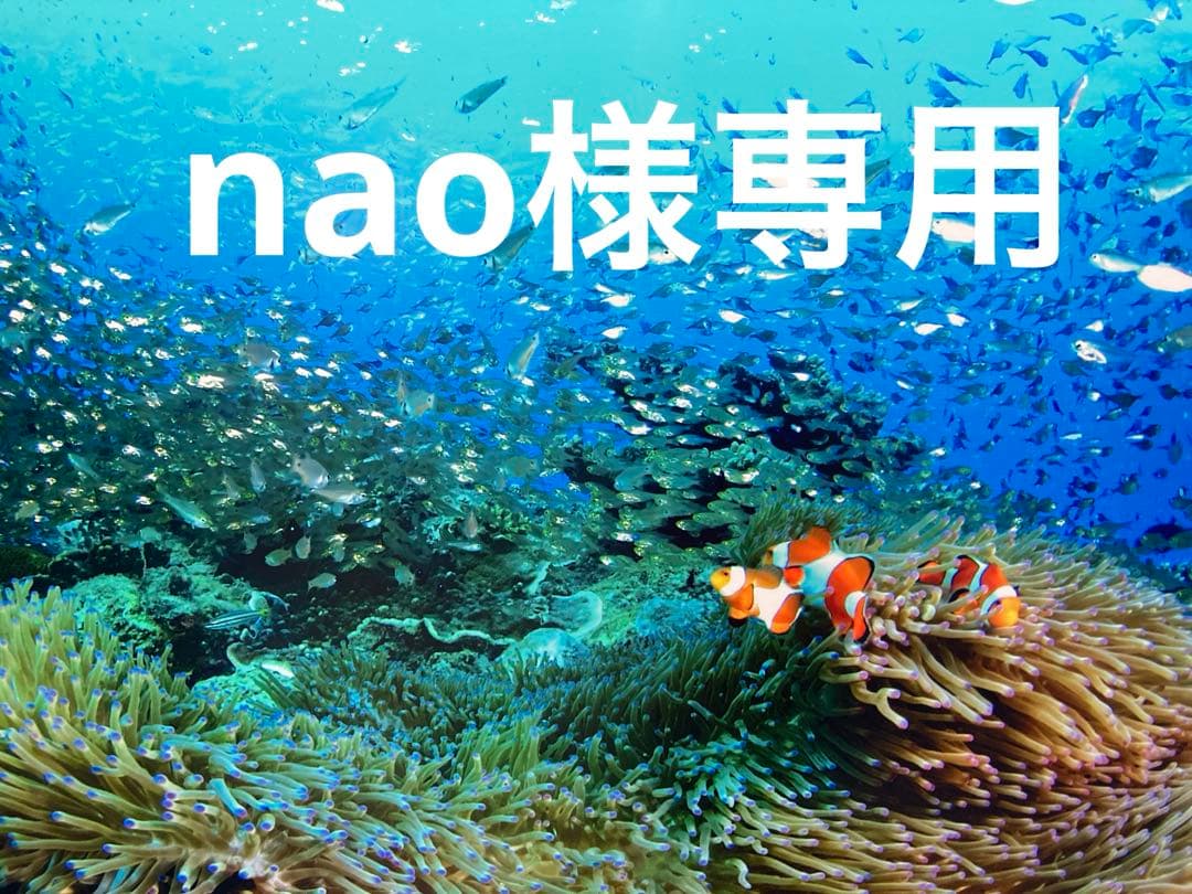 エンビロンCクエンストーナー アイジェル