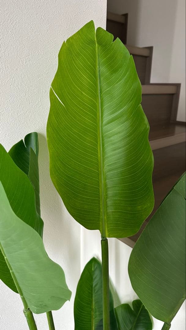 大型 フェイクグリーン 観葉植物風 鉢付き インテリア