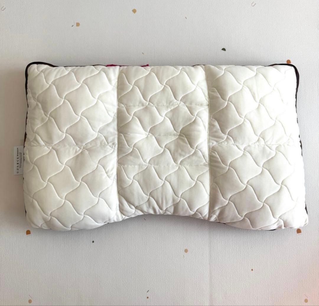 【保証有り】じぶんまくら プレミアム ロング 専用バッグ付き