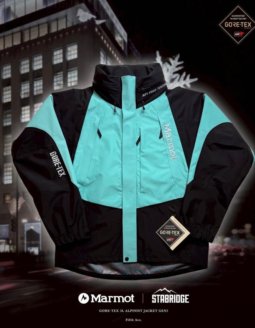 m*y様 STABRIDGE × Marmot Gore-Tex 3L Alpi