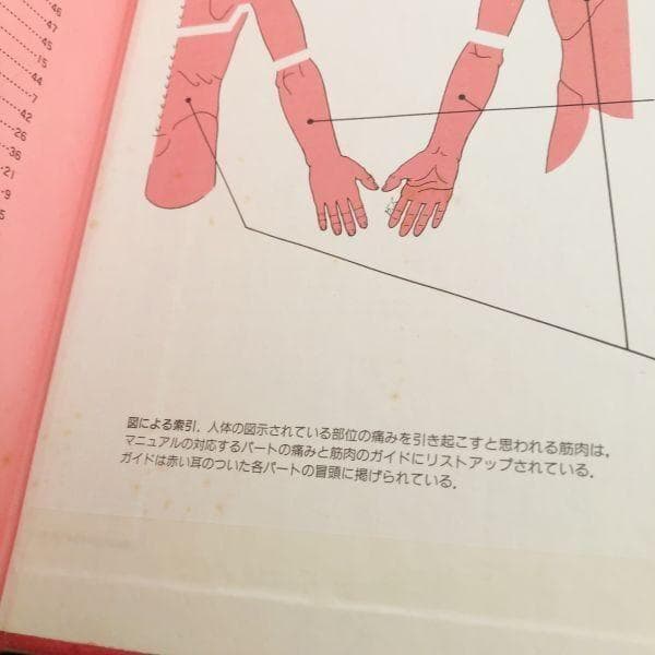 4冊 セット トリガーポイント・マニュアル 筋膜痛と機能障害 Ⅰ Ⅱ Ⅲ Ⅳ