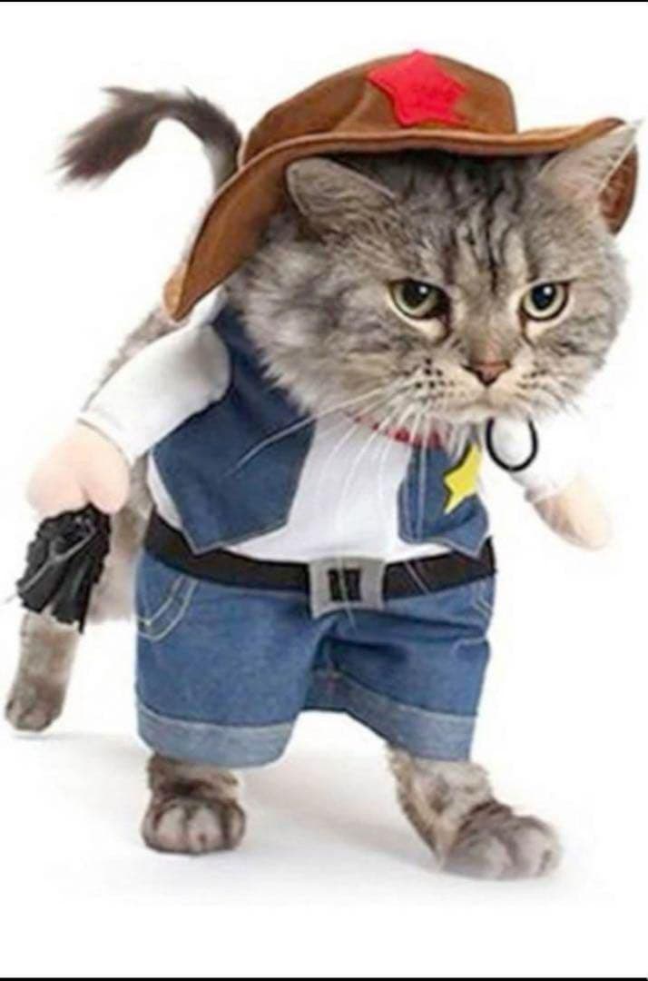 ★匿名配送✨ ペットパレット 犬 猫 コスプレ ハロウィン ペット 可愛い