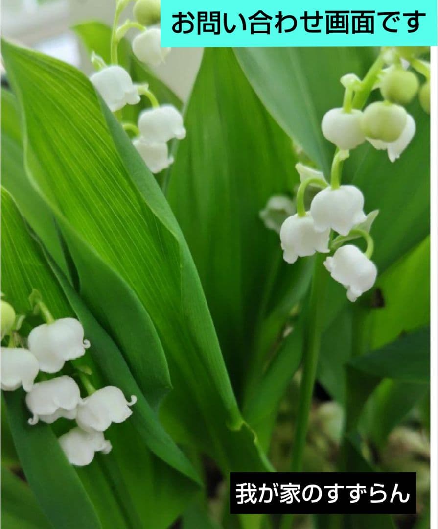 トールペイント作品