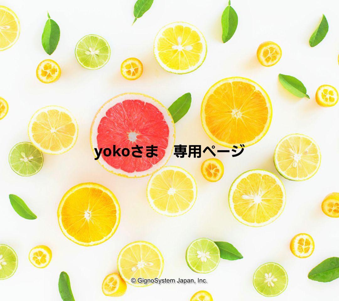 yokoさま専用ページ　スセミ　韓国たわし