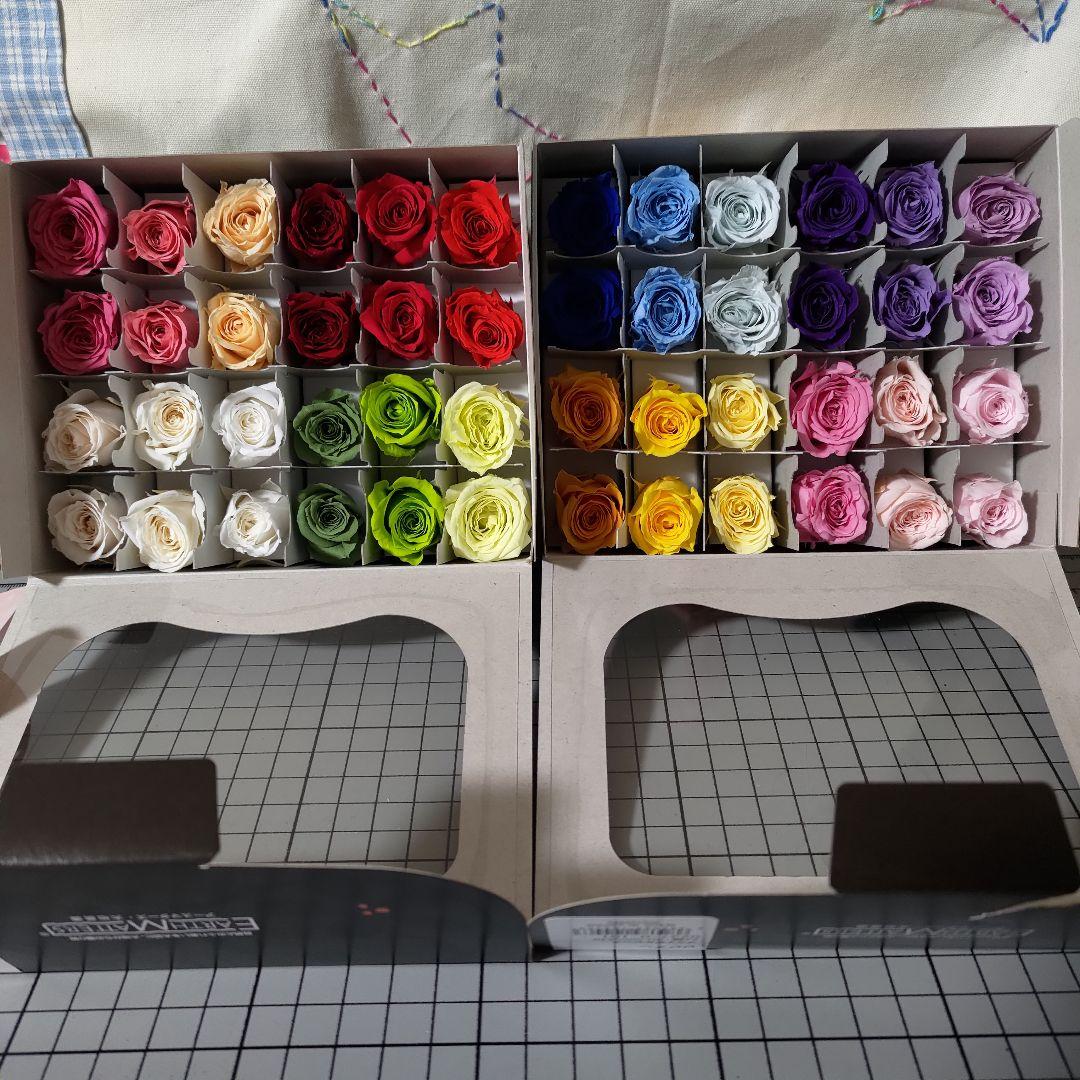 匿名配送★大地農園 ビビアン23色×2輪 フロールエバー1色×2輪 計48輪