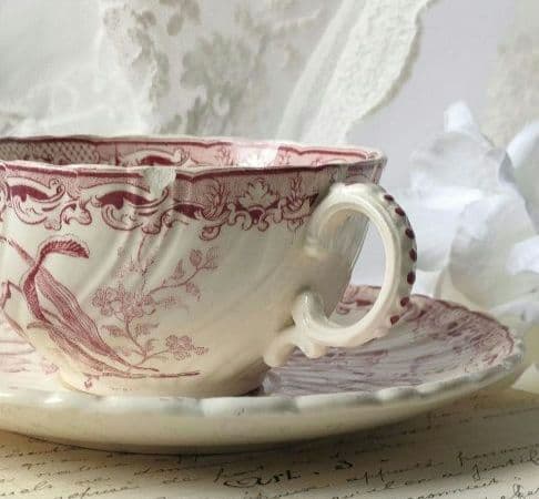 希少　美品　サルグミンヌ　カップ&ソーサー　フランスアンティーク