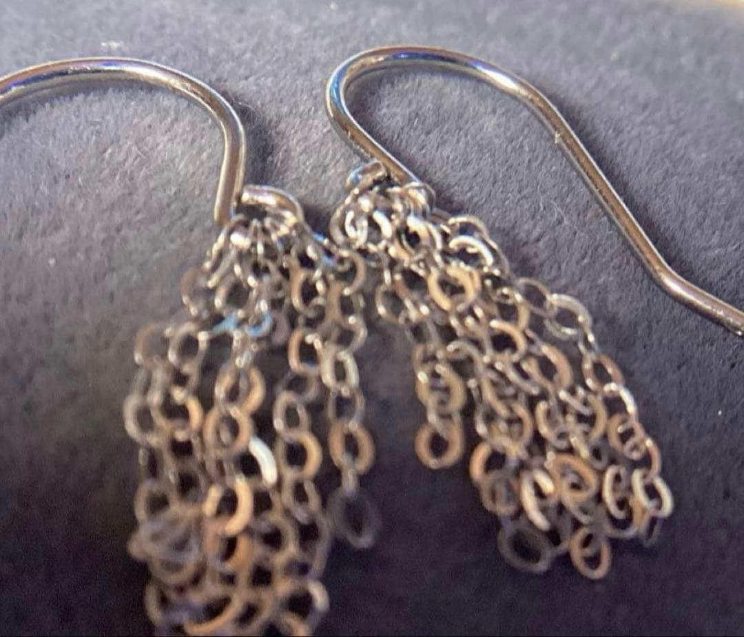 Pt900 きらきら フリンジピアス