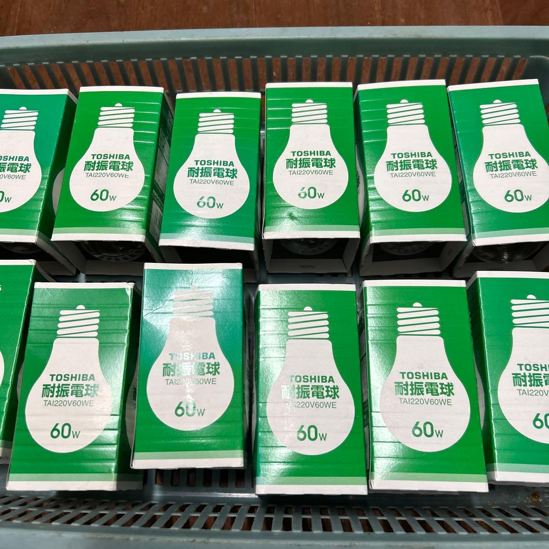 TOSHIBA TAI220V60WE 60w耐震電球