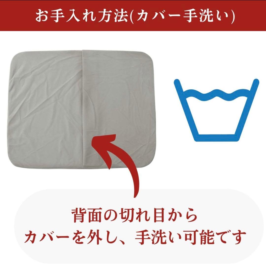 サテライト BODYLINE クッション バックハガー セット