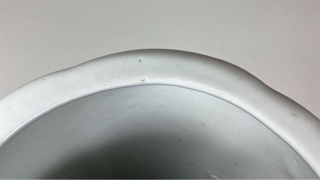 中国　民国時代　居仁堂製粉彩鶏の図　花入　高さ28cm