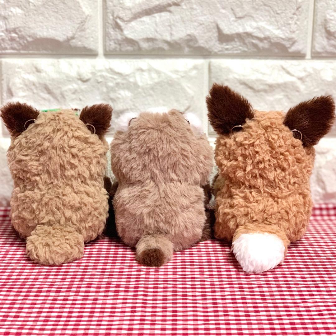 【七様】たぬきさん きつねさん ニホンアナグマさんの着ぐるみコスチューム ぬい服