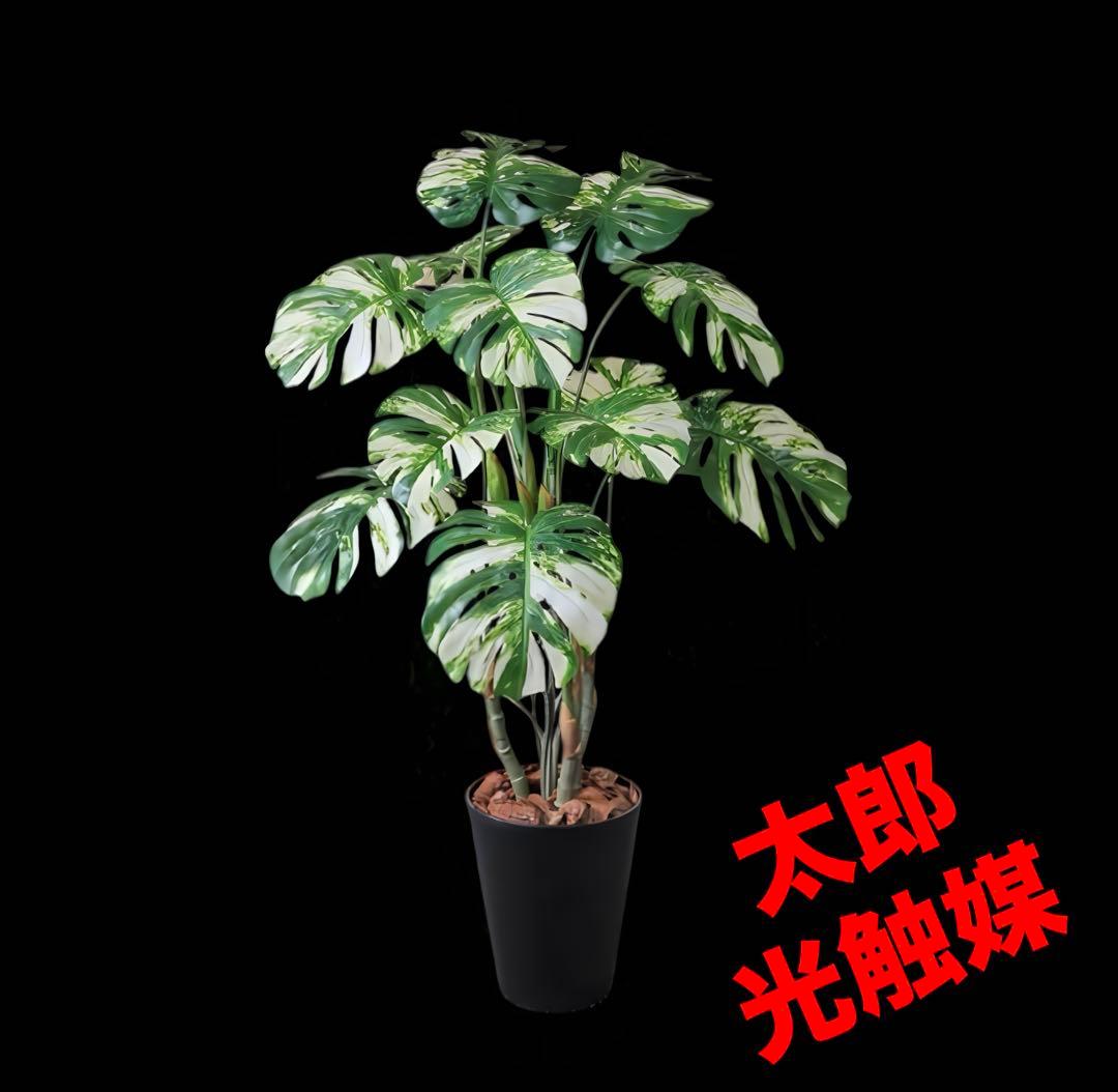 光触媒　人工観葉植物　ウォールグリーン　フェイクグリーン　モンステラ斑入り831