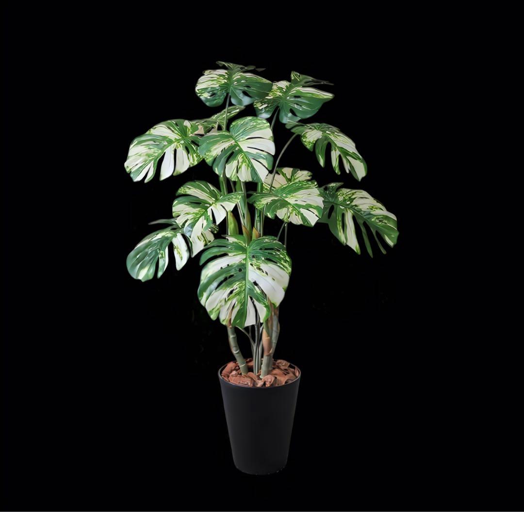 光触媒　人工観葉植物　ウォールグリーン　フェイクグリーン　モンステラ斑入り831