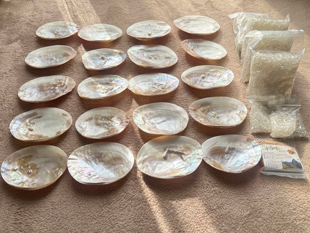 【未使用】天然パールシェル 貝皿 20枚 まとめ売り 浄化用 インテリア