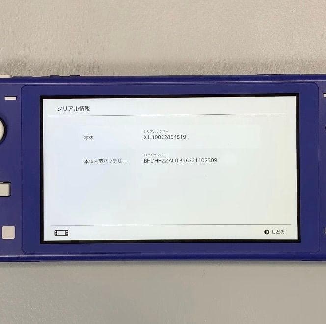Nintendo Switch Lite 本体 動作品 2023