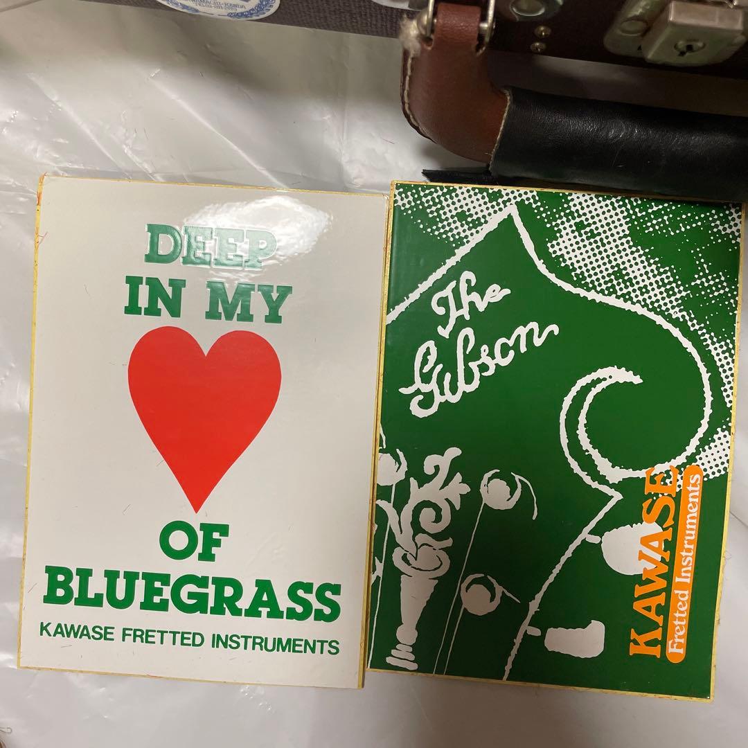 グラスランド　フラットマンドリン　ケース付き　カワセ