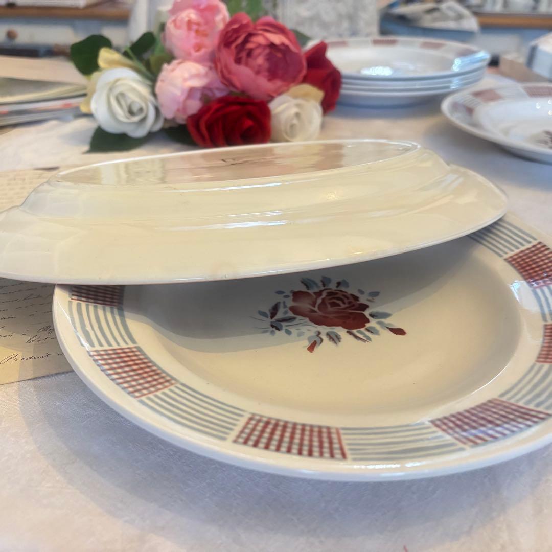 フランスアンティーク✧サルグミンヌ ❁⃘絵画のように美しい 薔薇のラヴィエꕤ︎︎˚⁎