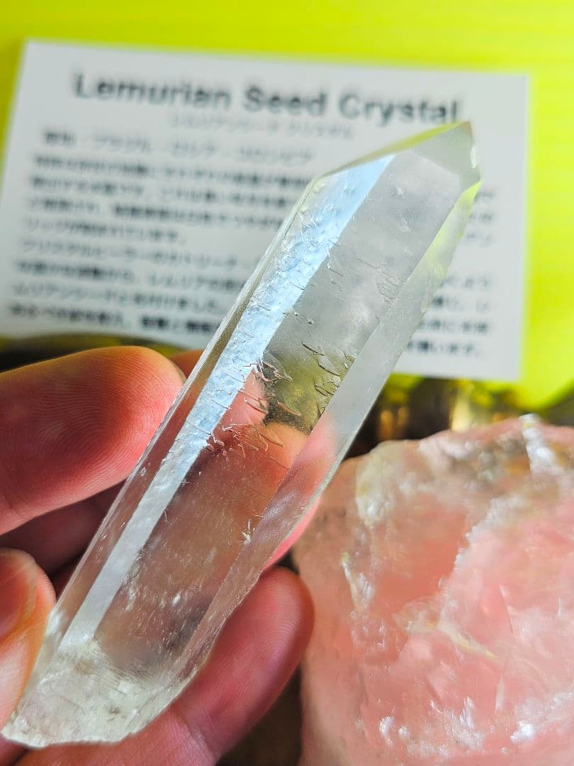 超希少‼️レコードキーパー入り‼️レムリアンシード