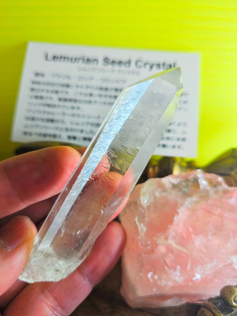 超希少‼️レコードキーパー入り‼️レムリアンシード