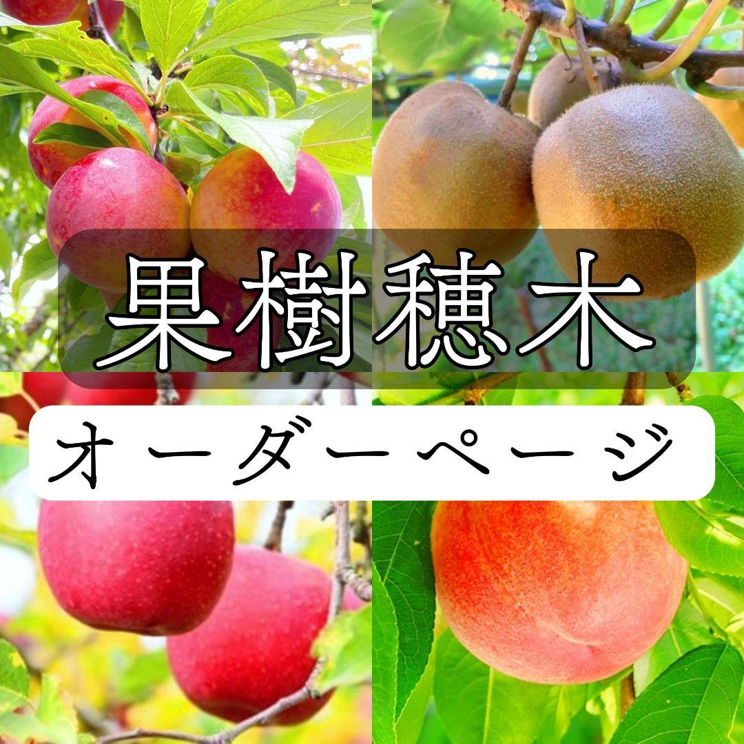 【オーダーページ】いろんな果樹栽培 穂木 挿し木 接ぎ木 苗木づくりに♪