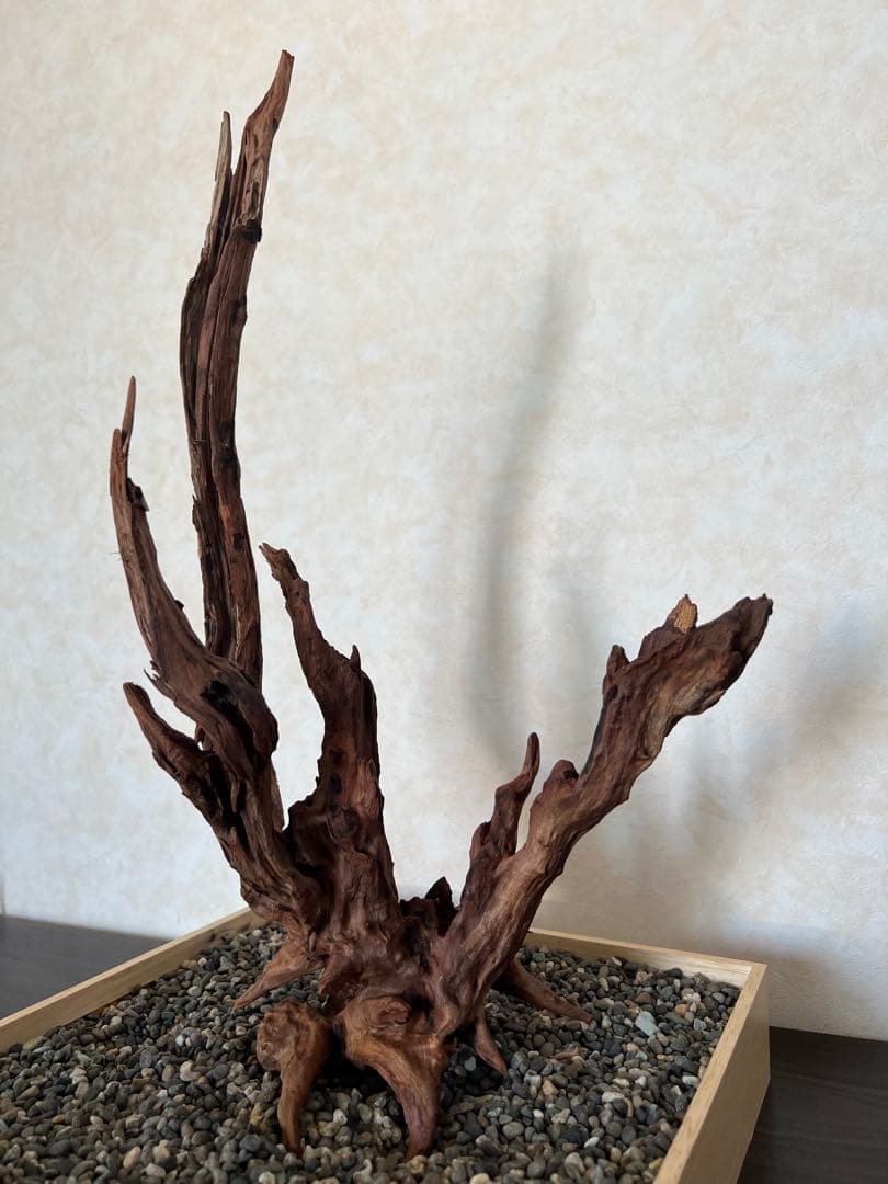 HX-013 流木　ホーンウッド　マシンガンウッド　アクアリウム　ブランチウッド