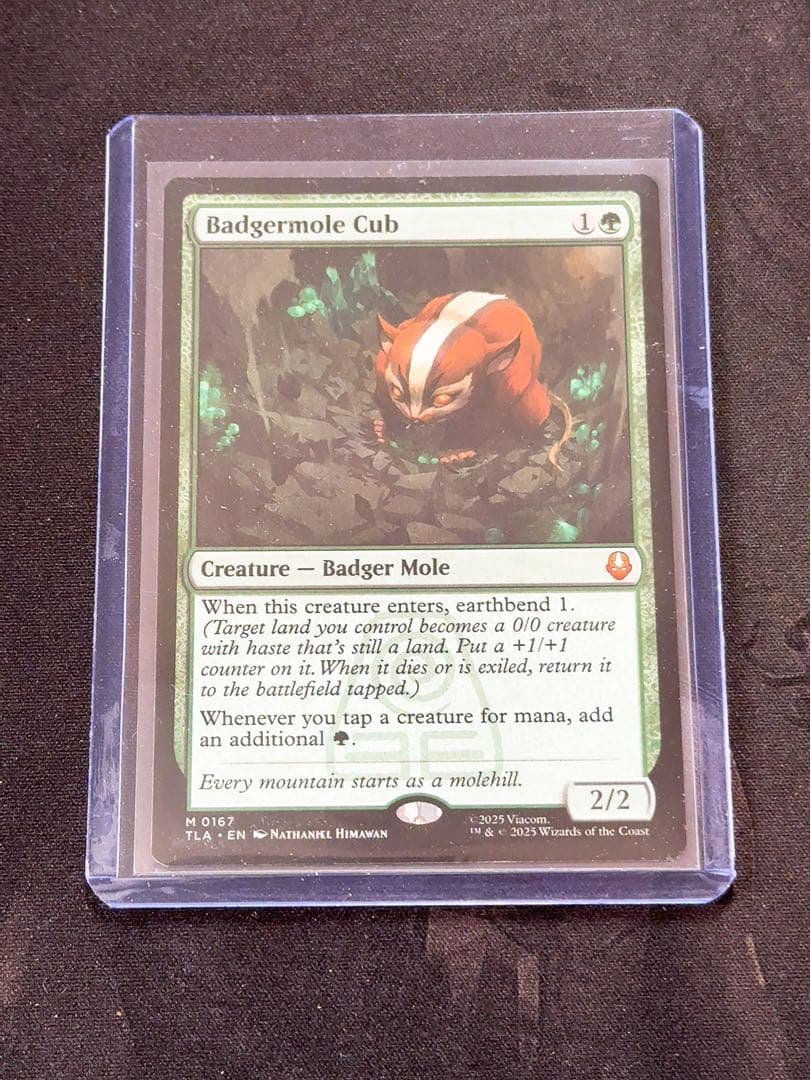 アナグマモグラの仔　英語