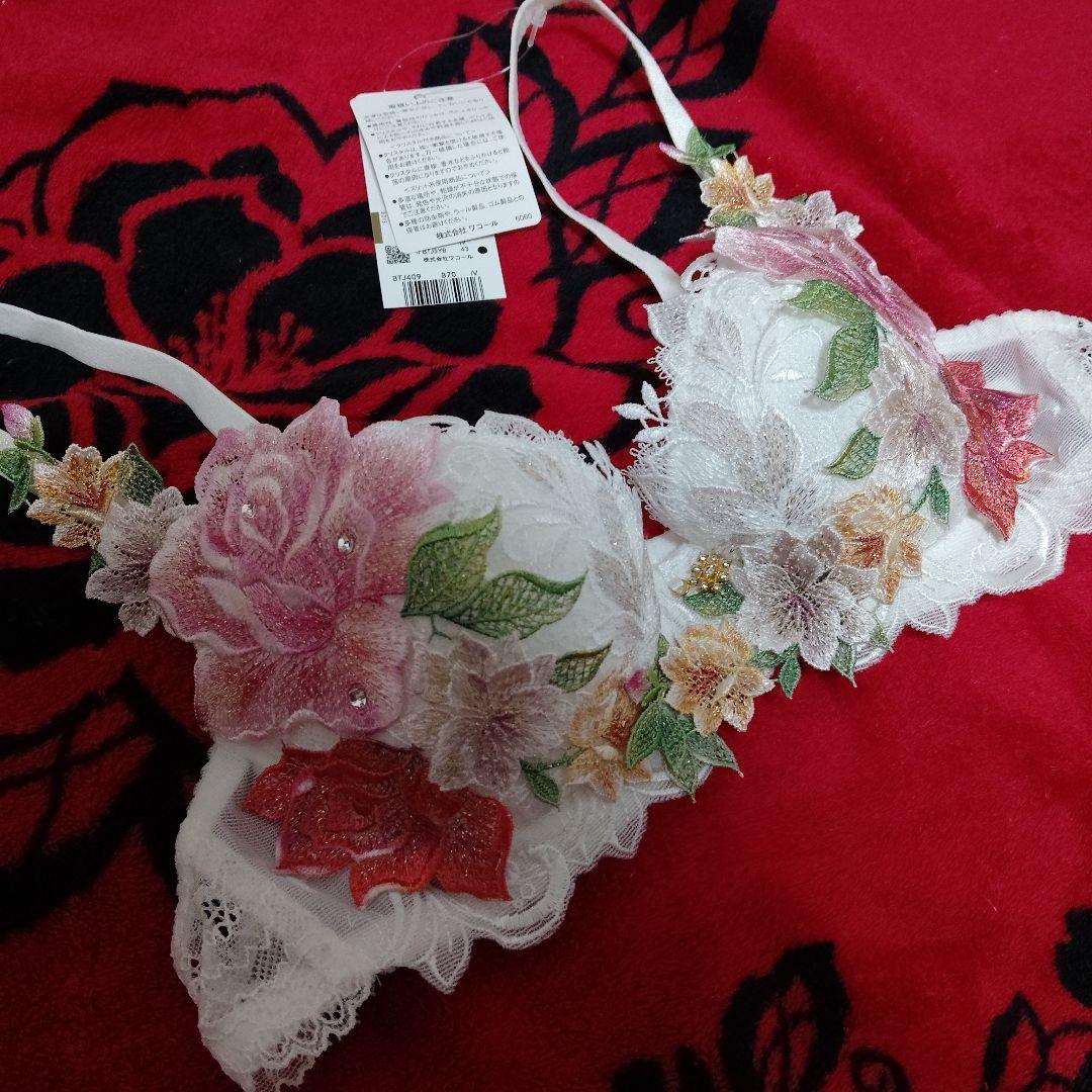 サルート 限定発売コレクション 09group B70