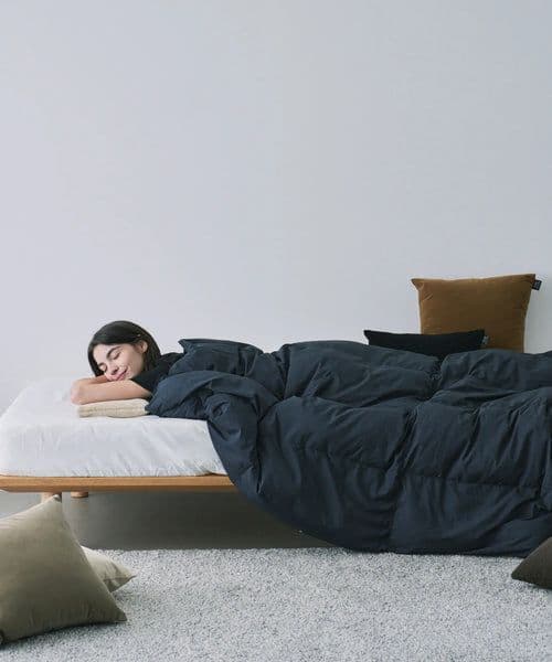 TAION ルームダウン 超軽量 800FP 羽毛布団 セミダブル