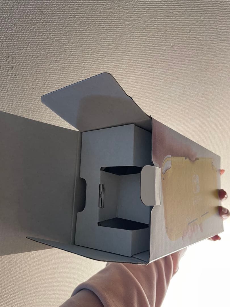 【今だけ値下げ】Nintendo Switch Lite 透明ケース 充電器付