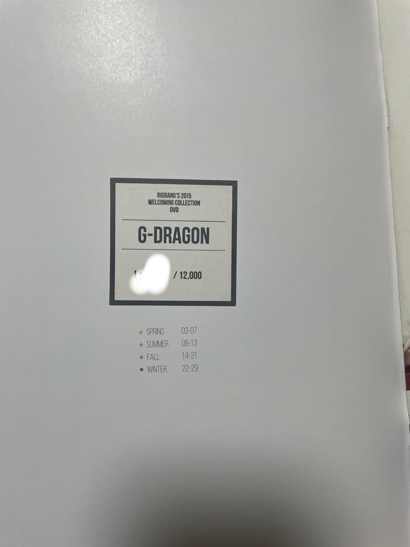 BIGBANG 2015 WELCOMING COLLECTION込　まとめ売り