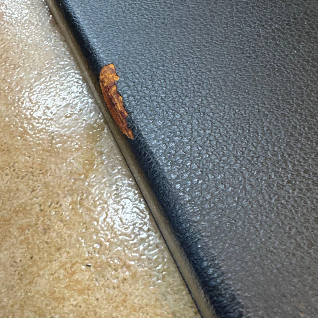 ら*ん様 ビンテージ　バイオリン弓ケース 皮張り黒 仕切りあり12本入り