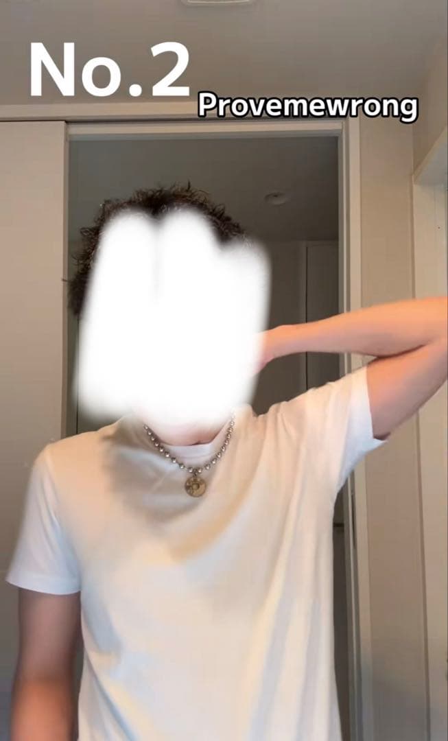 最安値　リアルくん着用 provmewrong ネックレス ボールチェーン