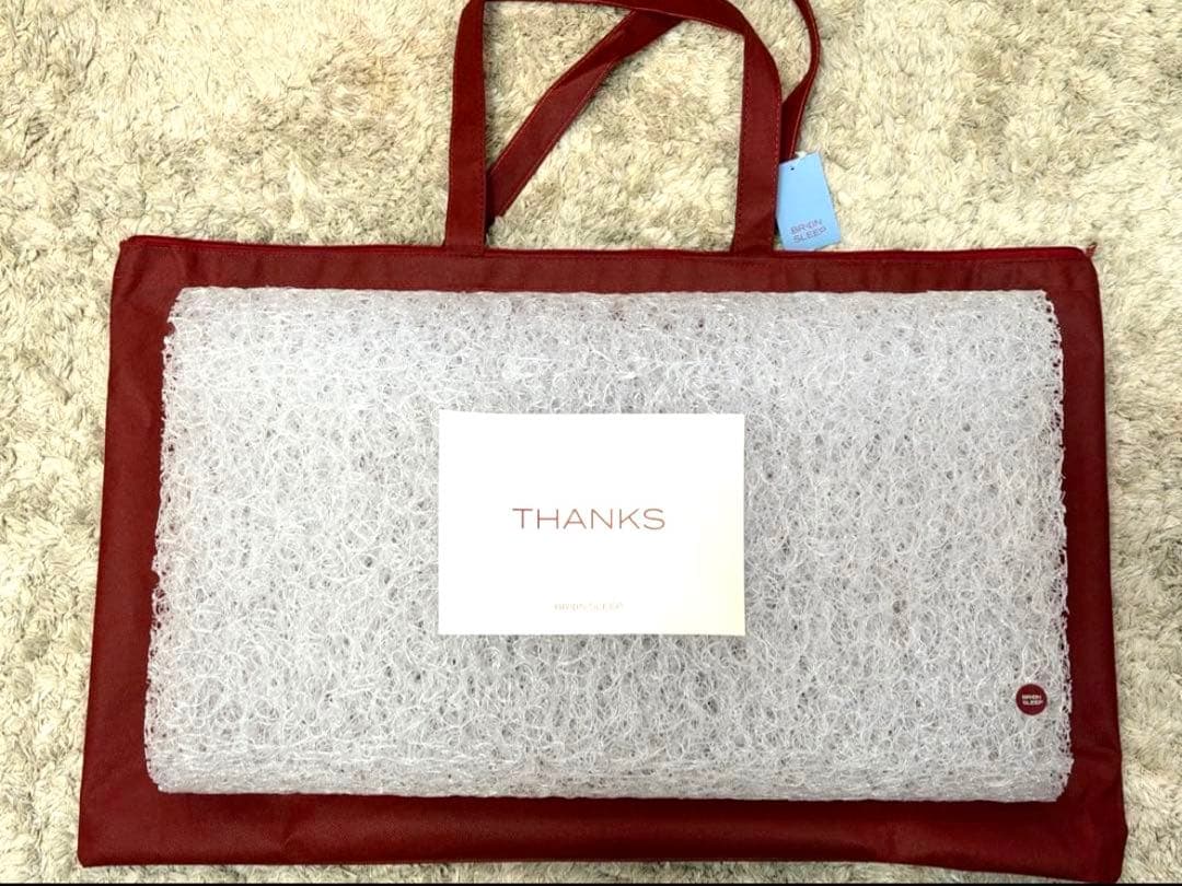 【美品】ブレインスリープ ピロー　ピローカバーと専用バッグ付き