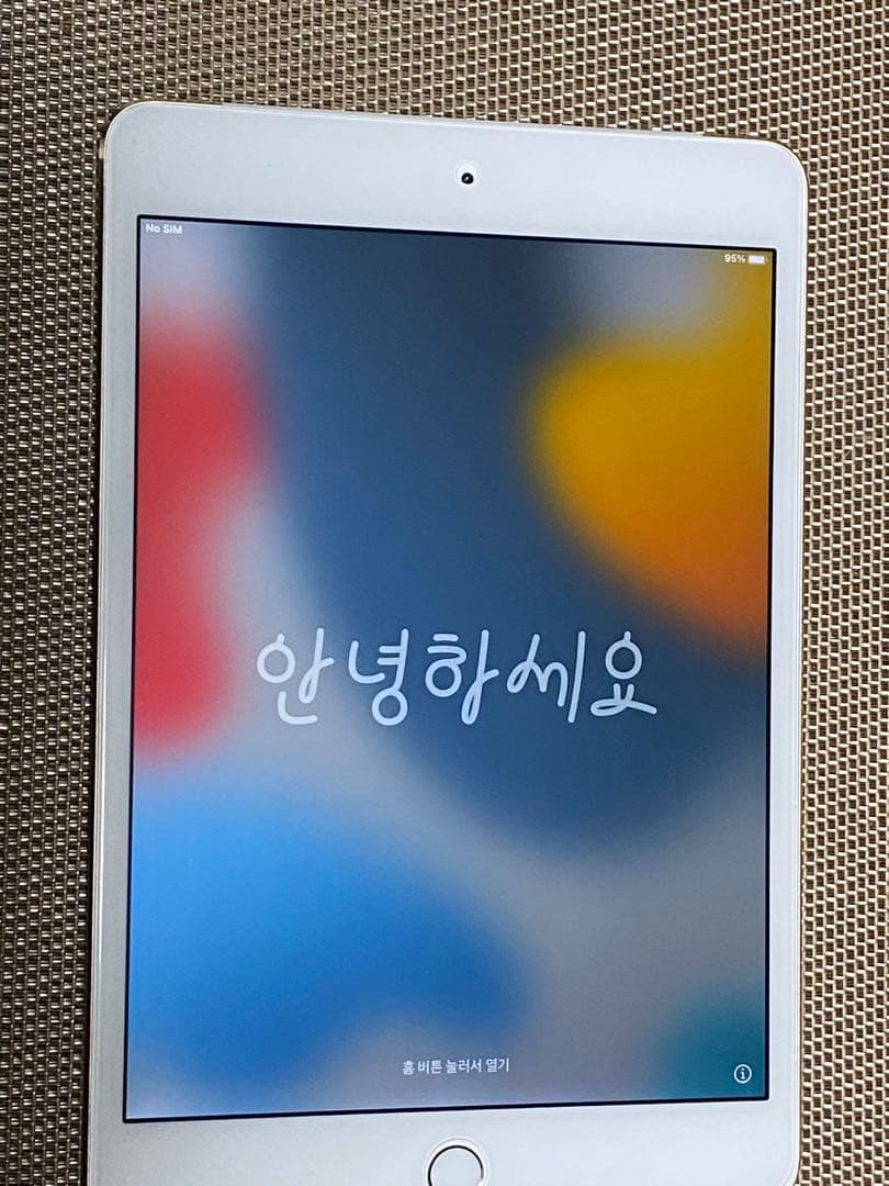 ✨iPad mini 4Wi-Fi+cellular 128GB