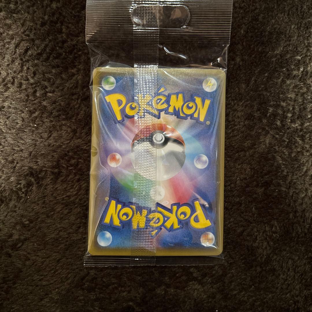 ポンチョを着たイーブイ　ブラッキー　未開封