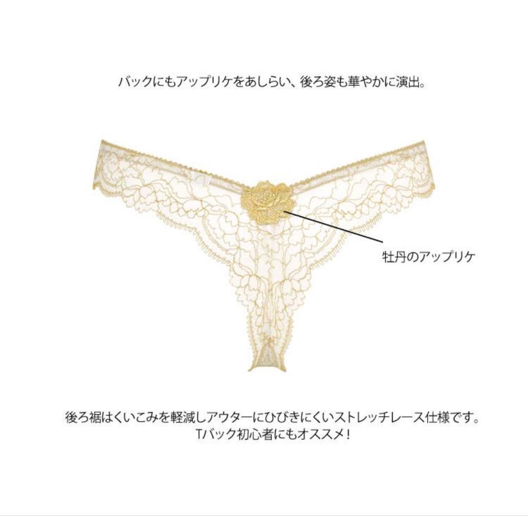 ワコール サルート BTJ403 プッシュアップタイプ P-UP E70M