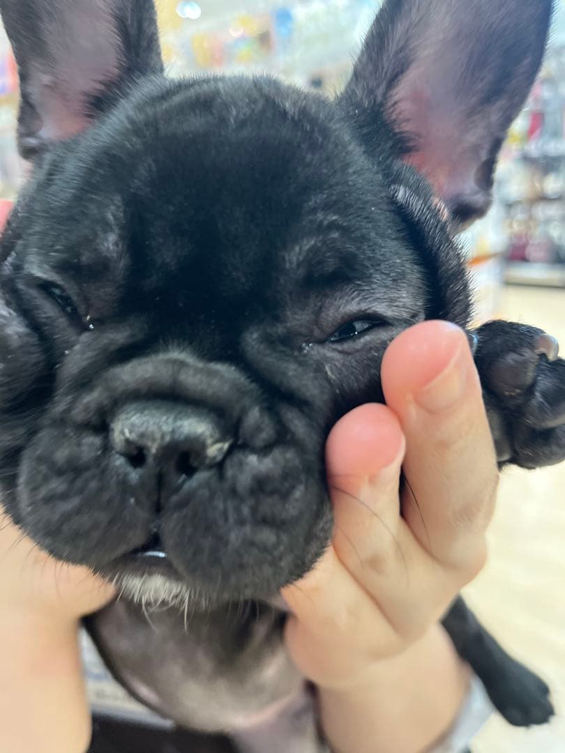 りりーせんよう