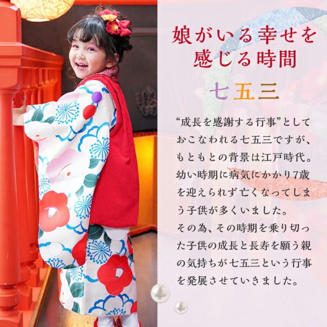 京都瑠璃雛菊 七五三 着物