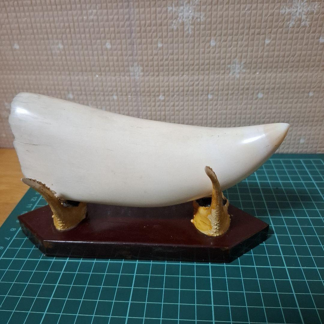 鯨の歯と台付き