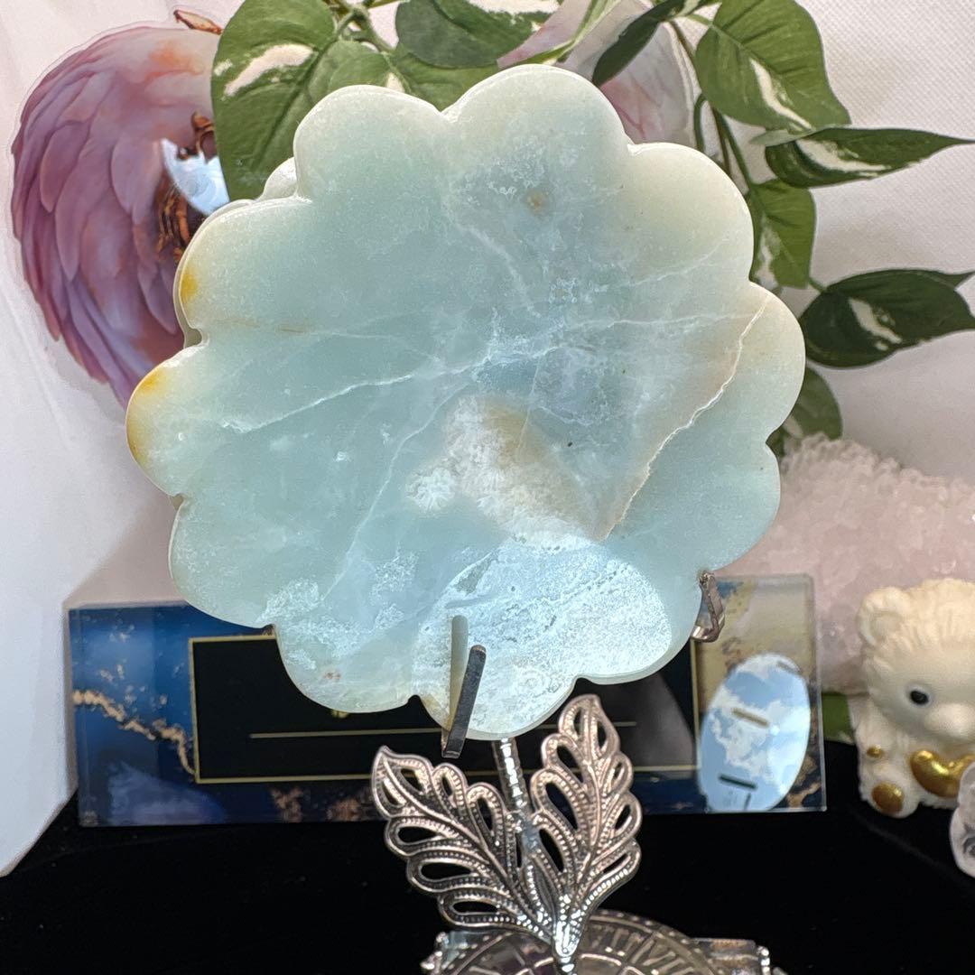 カリビアンカルサイト薔薇♡No.2108